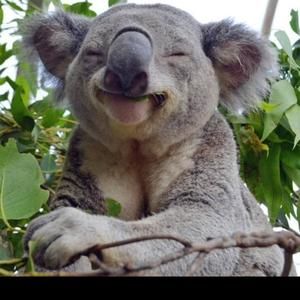 Meet your Posher, Mike